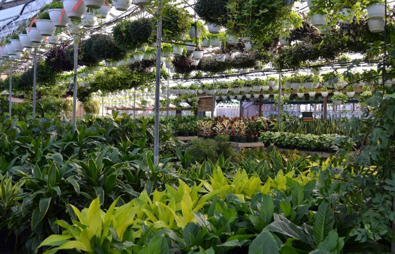 Claussen's Florist, Greenhouse & Perennial Farm, United States